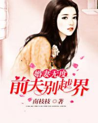 婚妻无度:前夫,别越界
